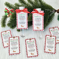 10/20sets Plastic Test Tube Christmas Party Packs with Magical Reindeer Food Cards for Christmas Party Decorations Guest Favors
